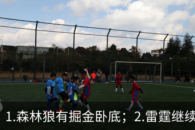 1.森林狼有掘金卧底；2.雷霆继续大逃杀缩圈；3.勇士续约霍福德